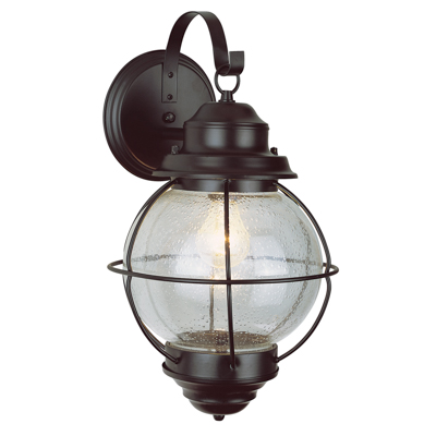 Trans Globe Lighting 69901 BK 1 Light Coach Lantern in Black